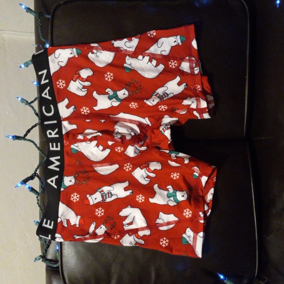 American Eagle Outfitters Other - American Eagle boxer brief